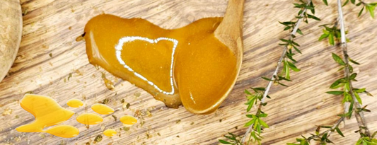 Le miel de Manuka est-il meilleur que le miel ordinaire ? Un guide complet