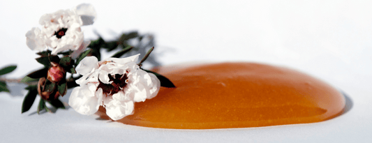 Les 10 meilleurs pots de miel de Manuka en 2025