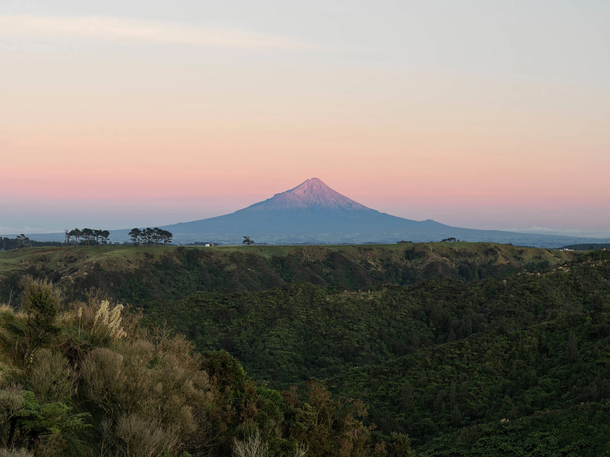 Egmont Honey apiaries near Mount Taranaki